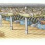 Berth Deck- credited.jpg
