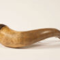 Lord Powder Horn - Back.jpg
